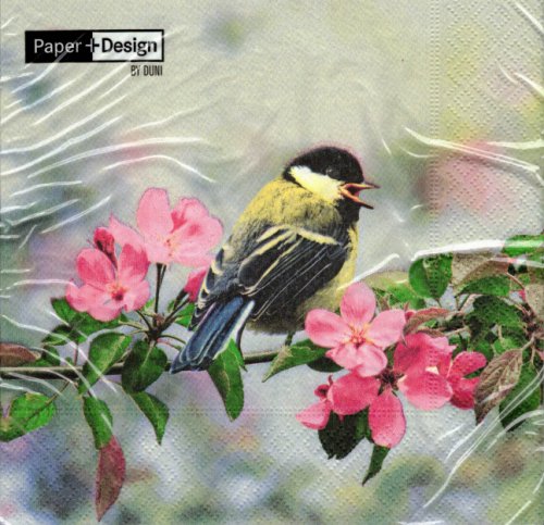 Servietten Paper+Design Spring Bird