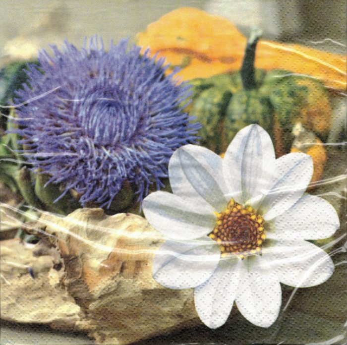 Servietten Ti-Flair Chardon et Citrouille