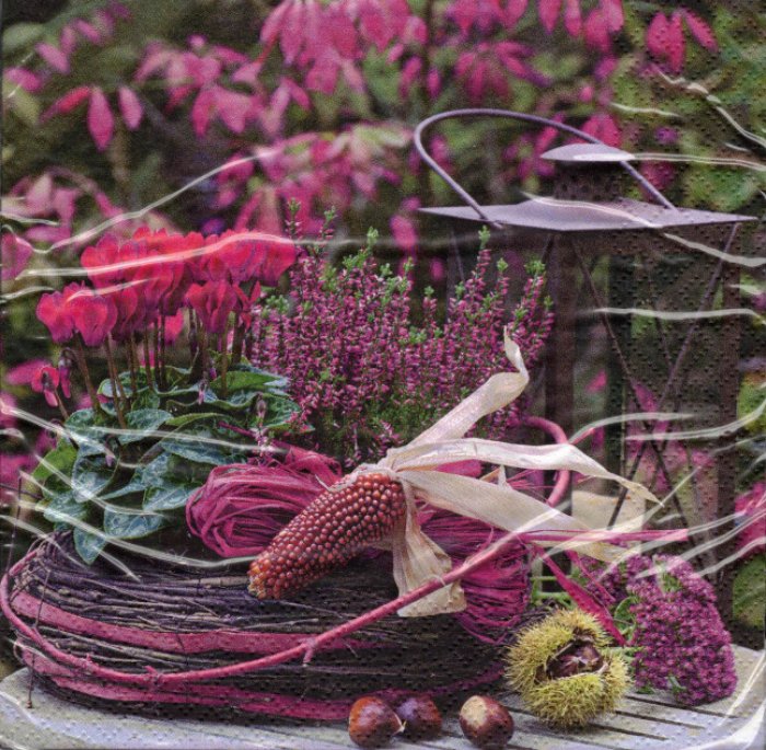 Servietten Ti-Flair Red Autumn 