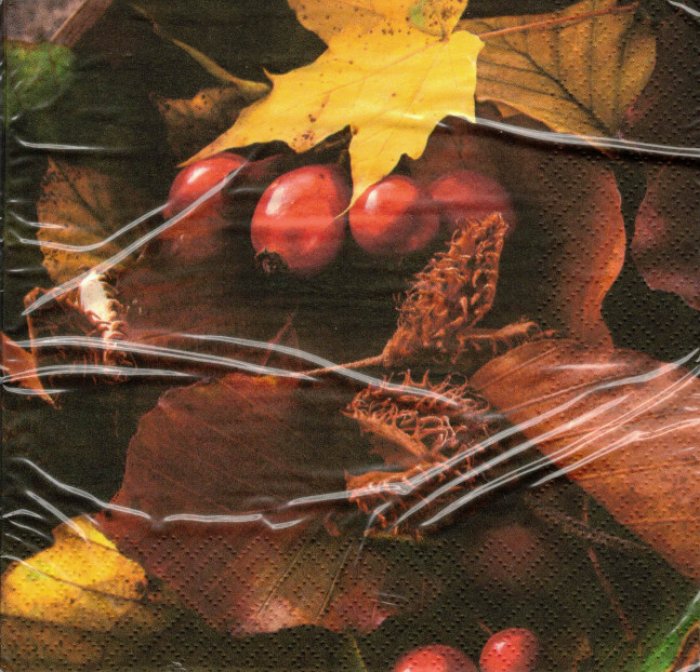Servietten Ti-Flair Leaves & Rose Hips