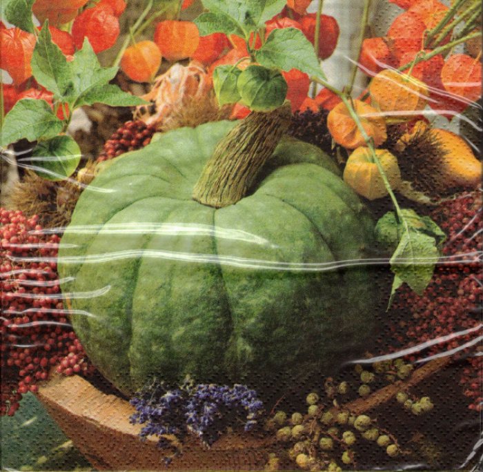 Servietten Ti-Flair Citrouille Verte
