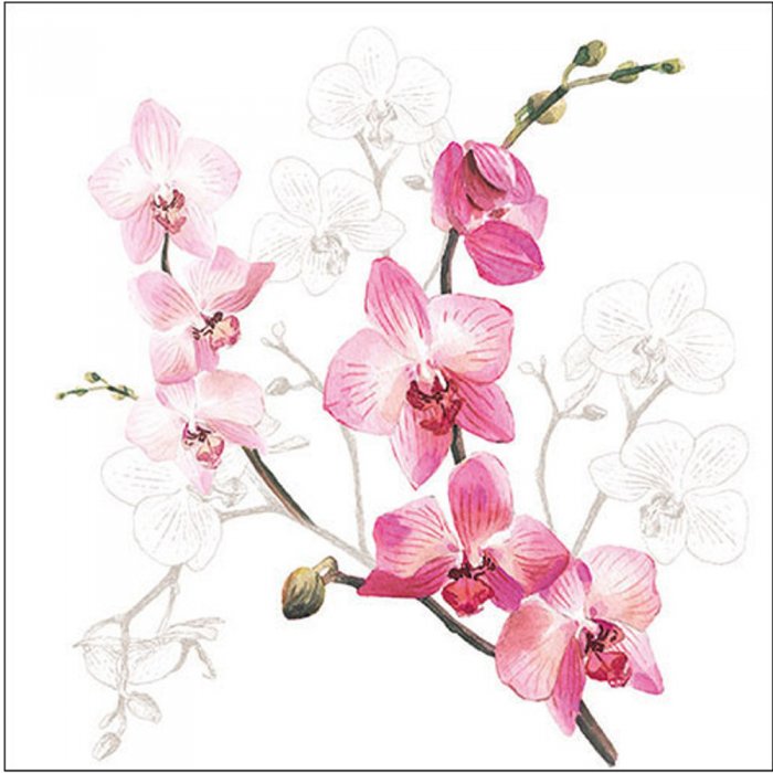 Servietten Ambiente Orchid