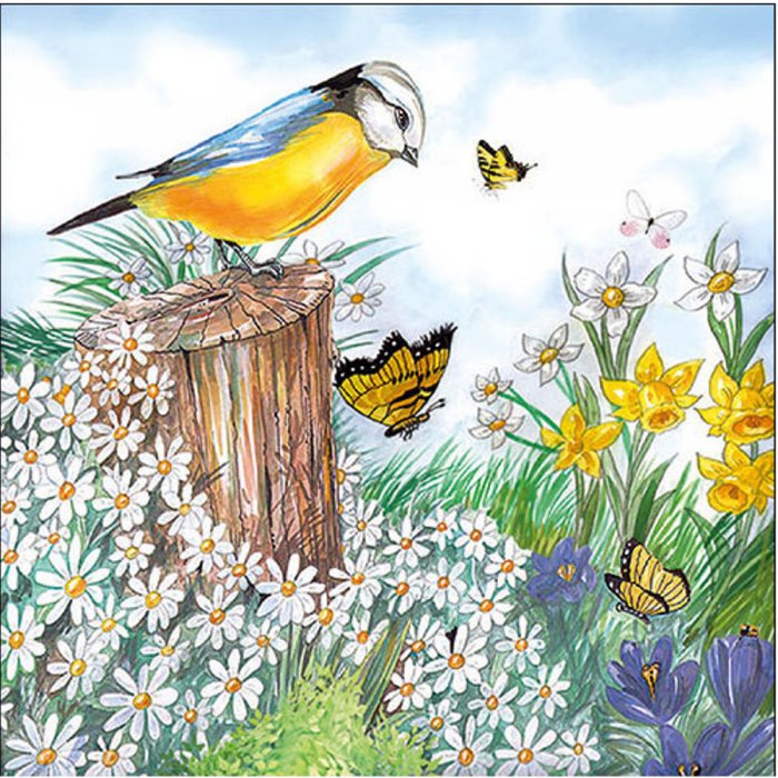Servietten Ambiente Bird Watching