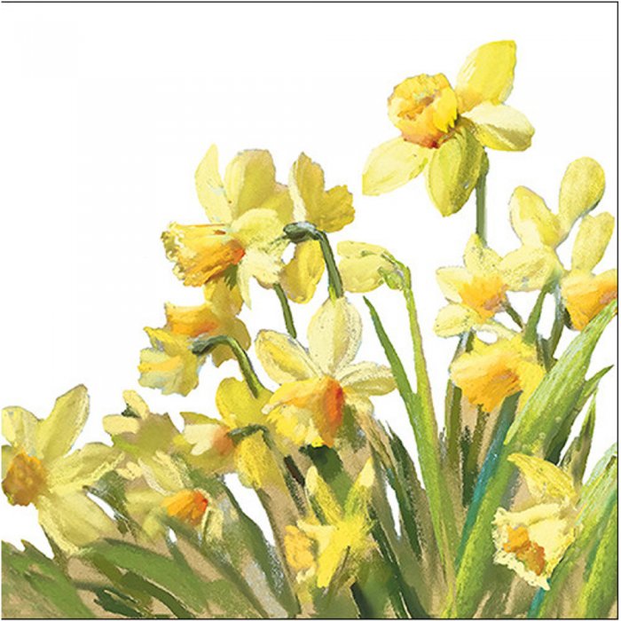 Servietten Ambiente Golden Daffodils